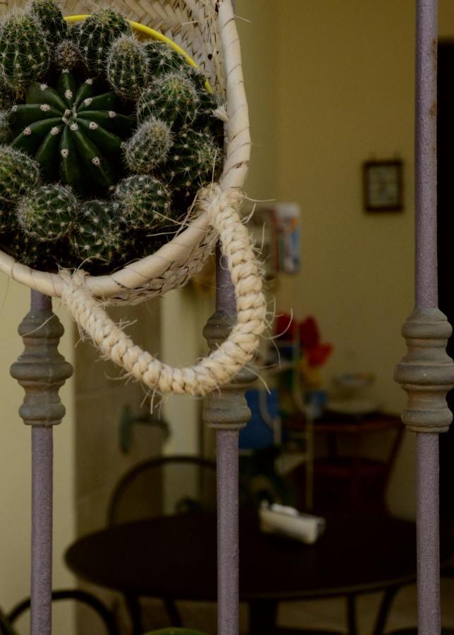 Acqua Di Mare B&B San Vito Lo Capo Kültér fotó
